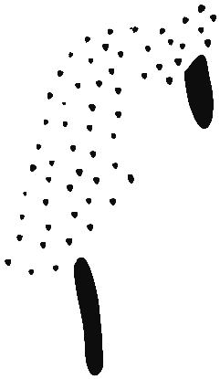 Image of the occurrence